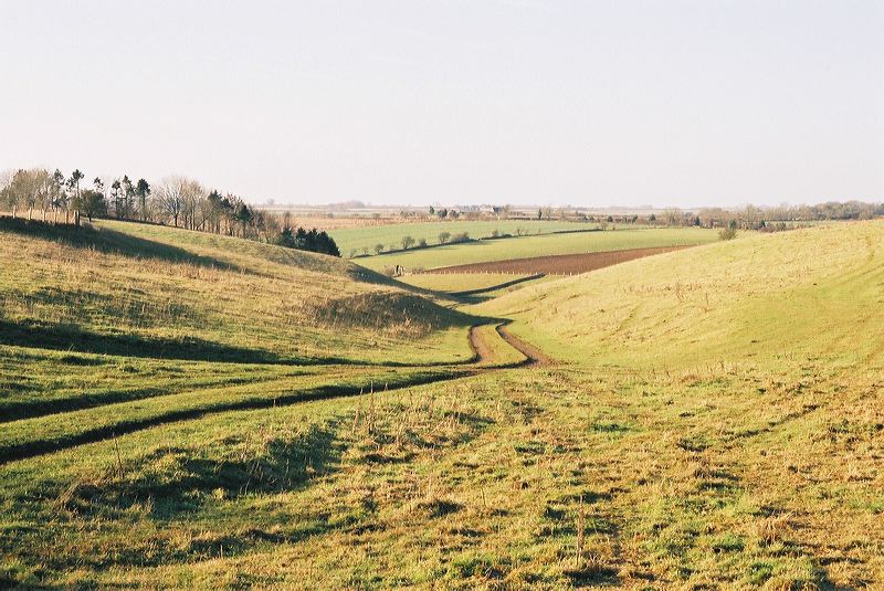 cnv00031.jpg