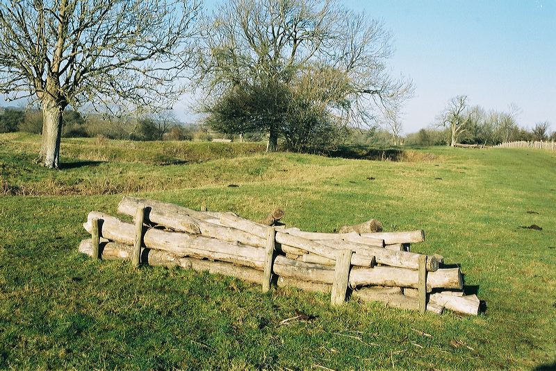 cnv00001.jpg