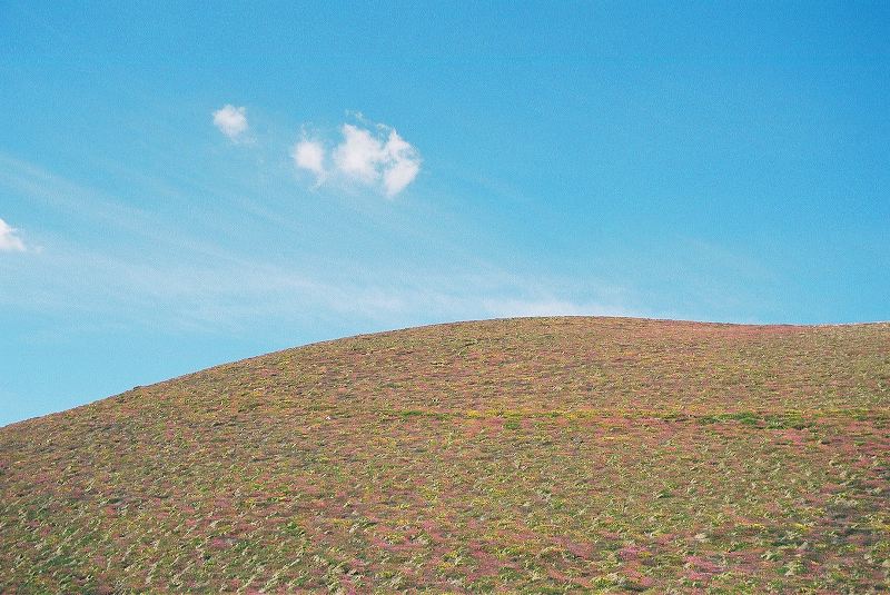 cnv00021.jpg