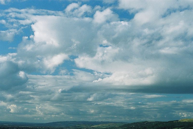 cnv00005.jpg