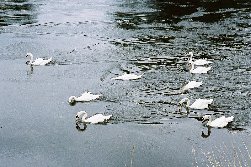 cnv00012.jpg