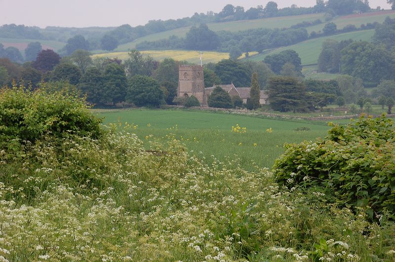 dsc_0032.jpg