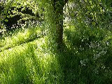 dscn1505