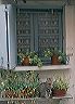 coffee_cat_387_8a